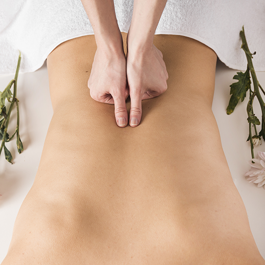 Alinhamento postural